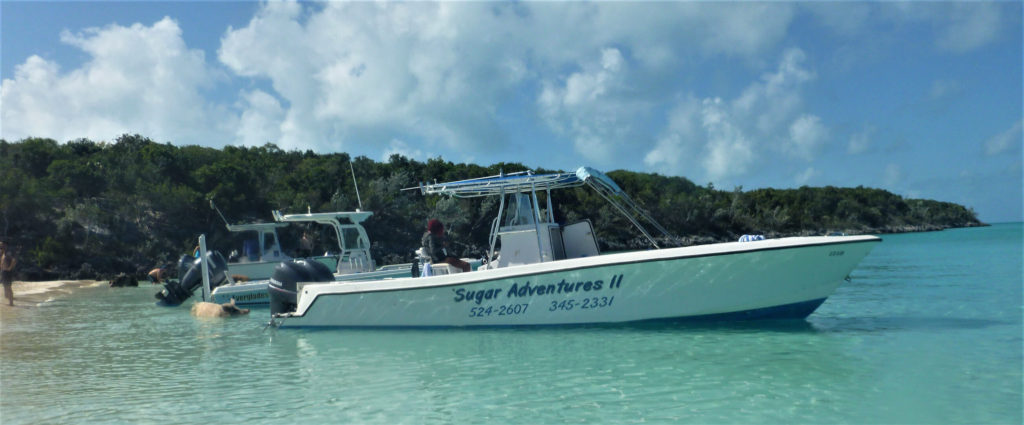 Day boat charters anchored at Pig Beach in the Exumas