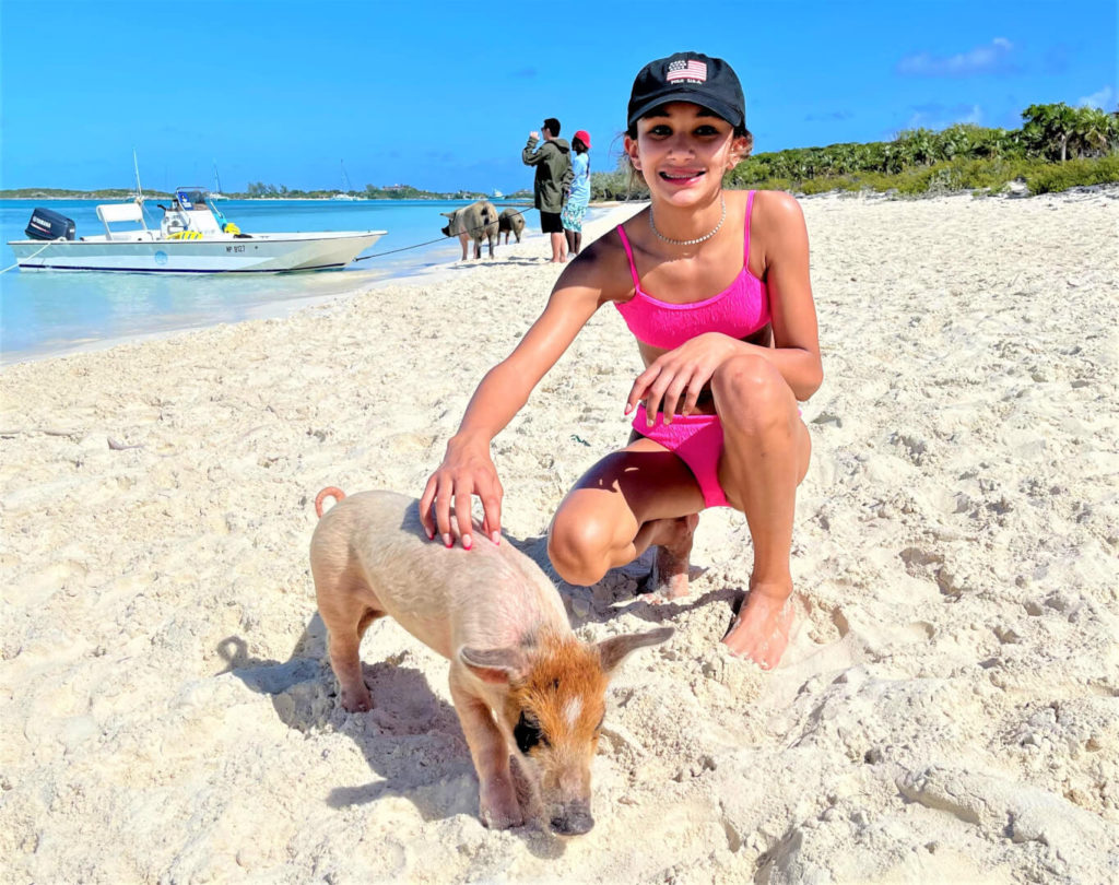 Baby piglet getting pet on Pig Beach