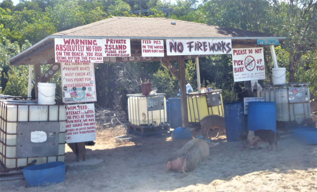 Bahamas Swimming Pigs World Headquarters at Big Major Cay in The Exumas, Bahamas.  Official rules prominently posted.