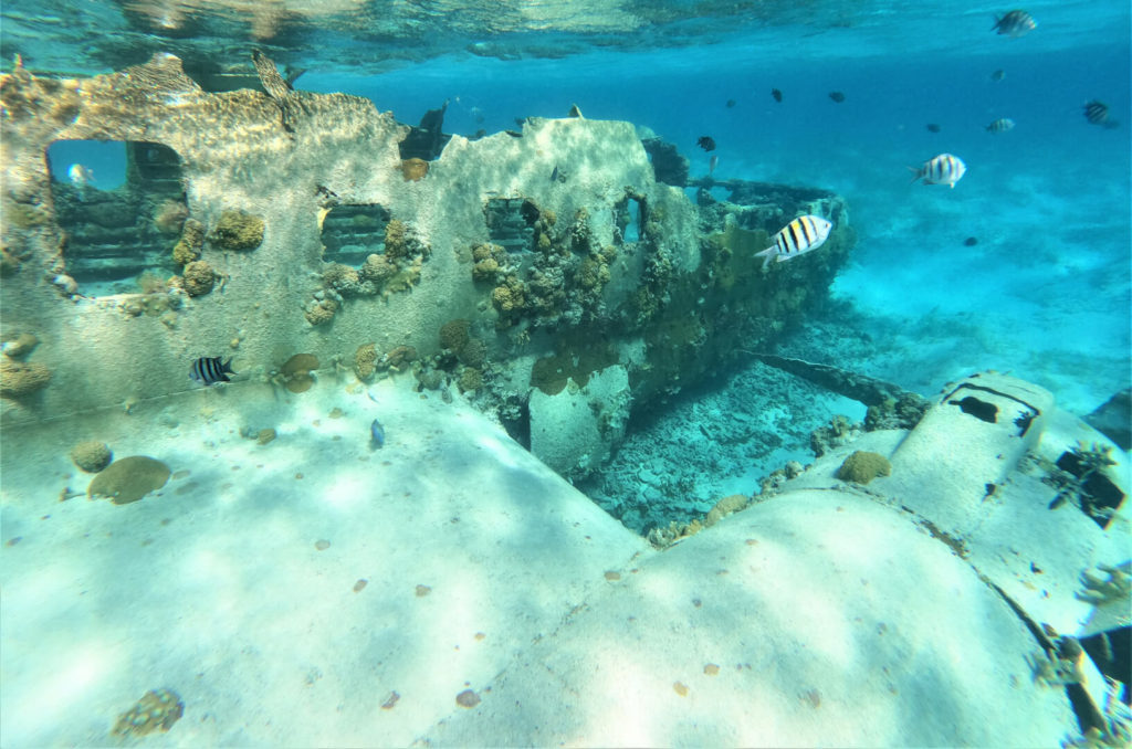 Starboard wing of sunken C-46 Commando transport plane at Norman's Cay, Bahamas from the Carlos Lehder era