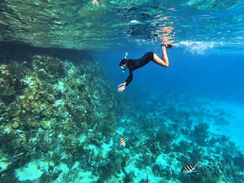 Snorkeler diving toward coral at the Exuma Cays Land & Sea Park aquarium
