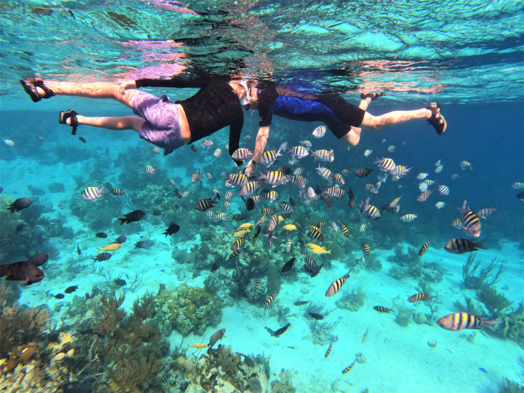 Snorkelers and fish at the Exuma Cays Land & Sea Park Aquarium