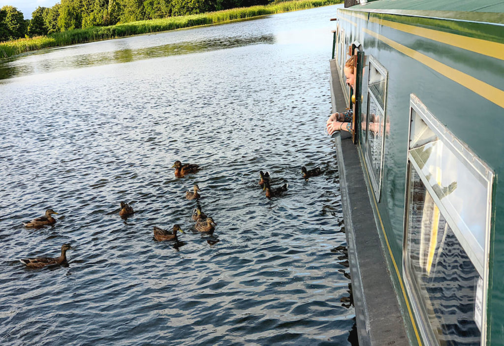 Feeding ducks from our narrowboat rental at Tixall Wide