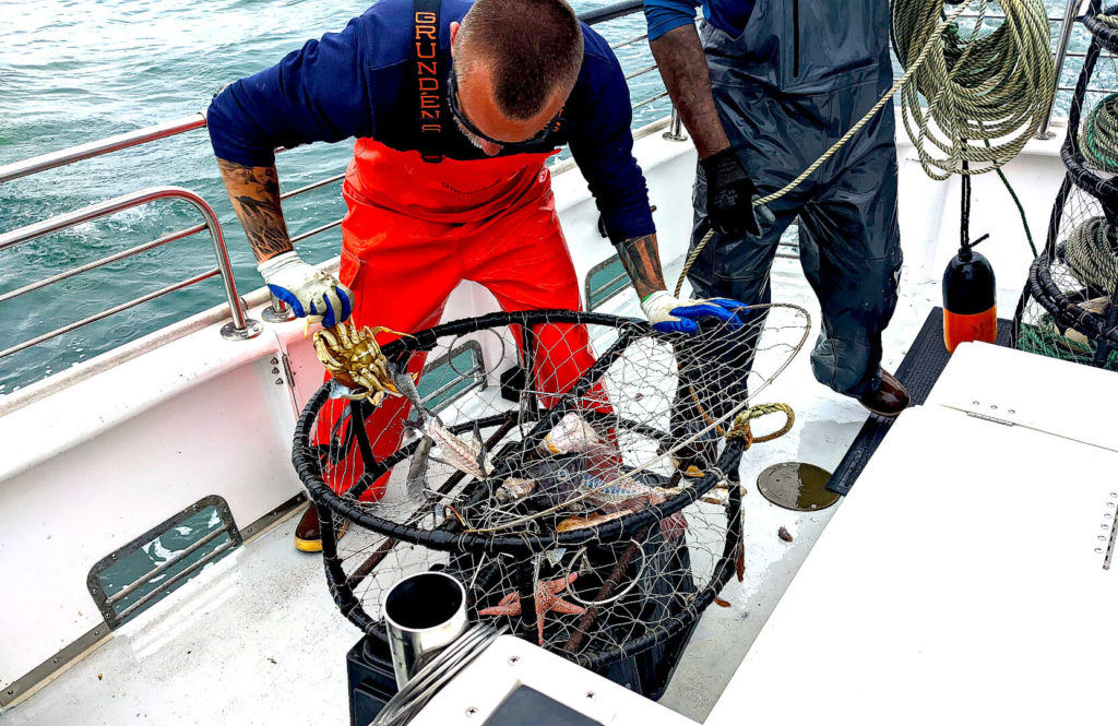 Surfirder crew sorting crab pot