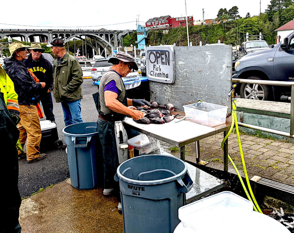 Fish cleaning station at Dockside Charters in Depoe Bay