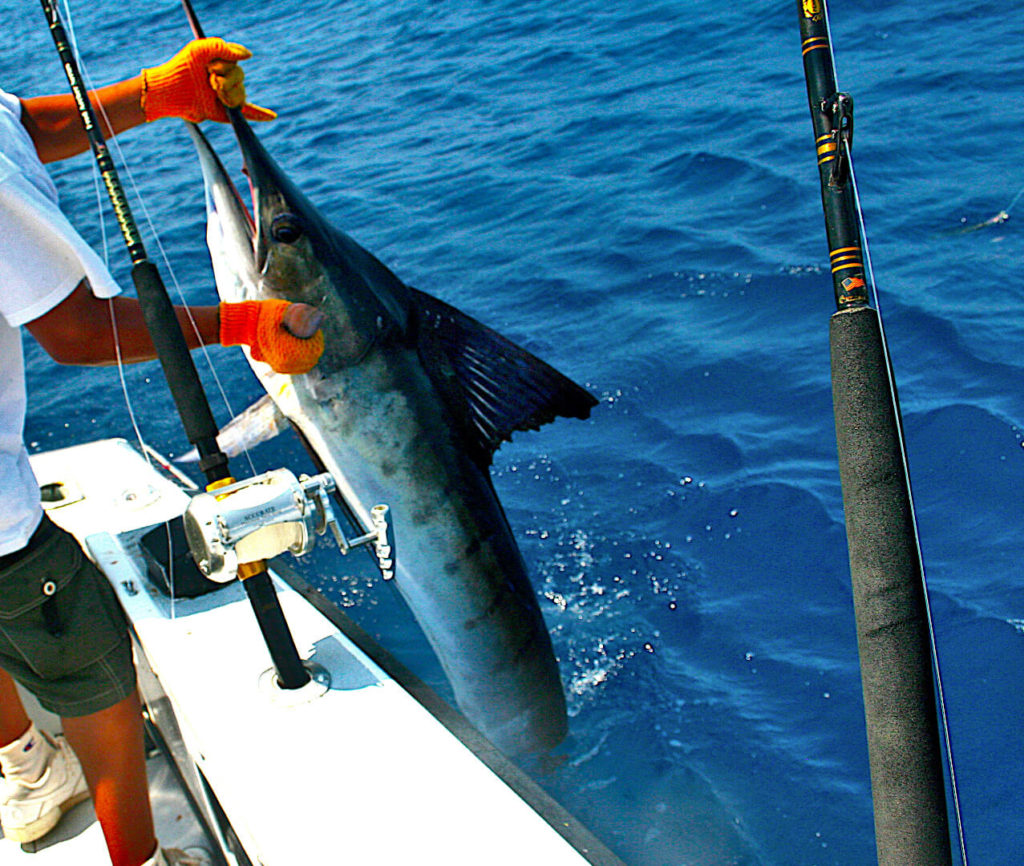 Maui Fishing Charter Review - The Busy Boater